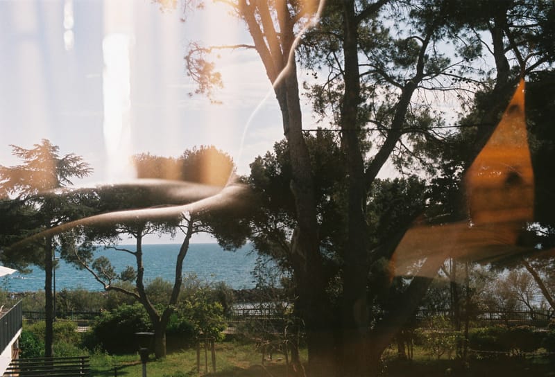 Doubles Expositions Nature