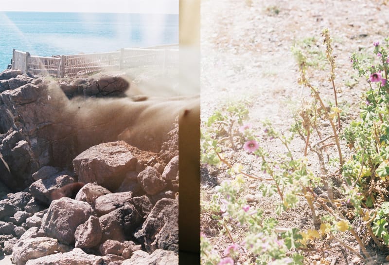 Doubles Expositions Nature