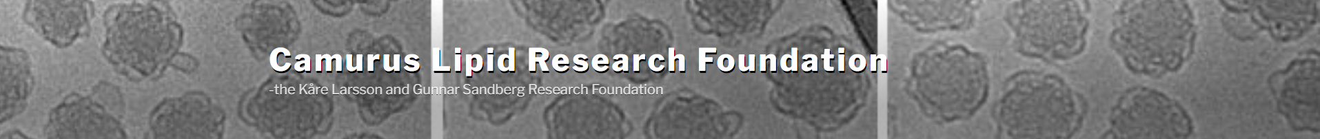 Porosome Therapeutics, Inc. Academic Chairman Prof. Bhanu P. Jena recognized with the 2024 “Lipid Science Prize”