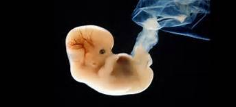 If you are reading this, you have been on this journey.