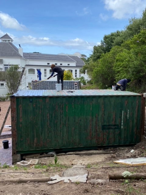 Before and After Images