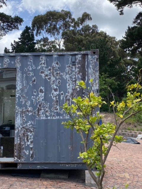 Before and After Images