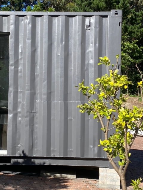 Before and After Images