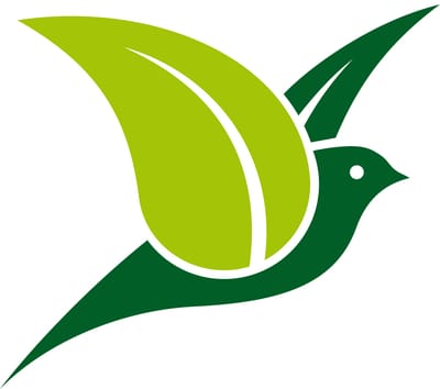 Zöld munkaterv 2024-2025