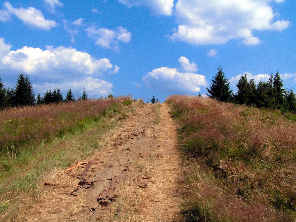 Beskid Żywiecki Pasmo Wielkiej Raczy