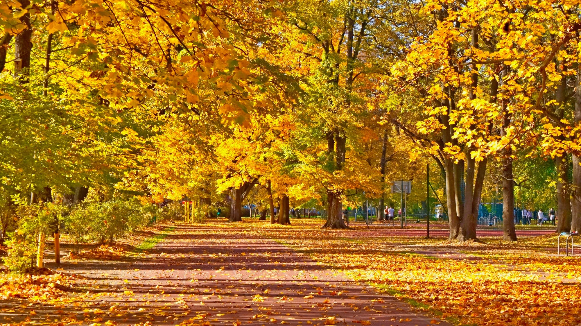 Park Jordana jesienią.