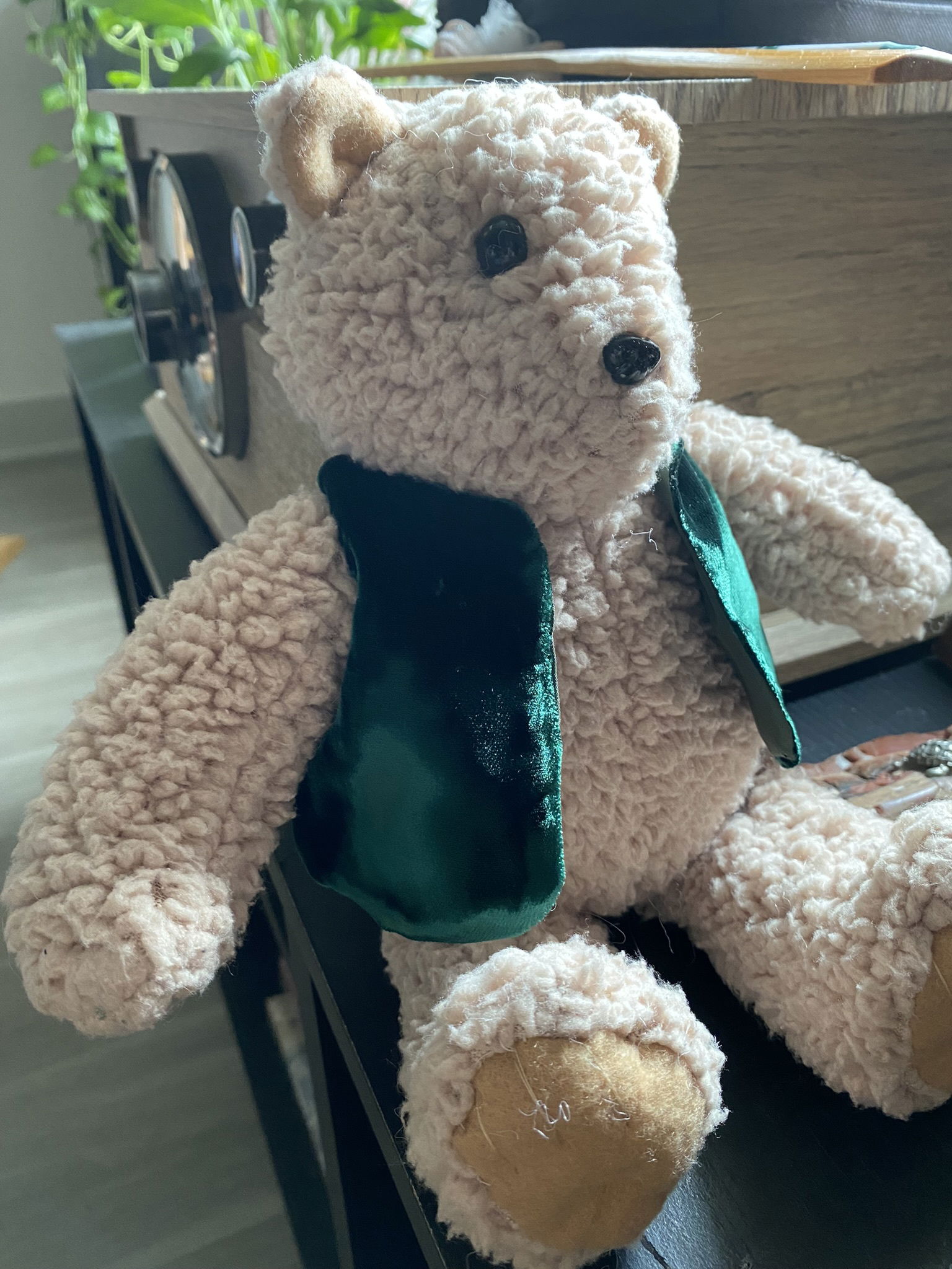 Tiny Bear