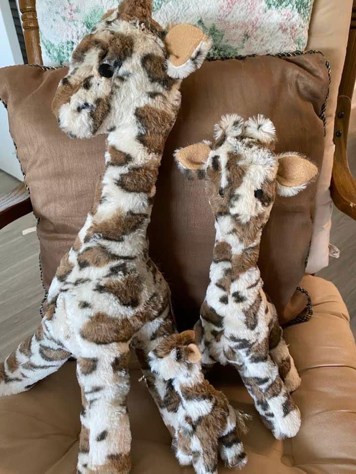 Filbert and Gilbert Giraffe