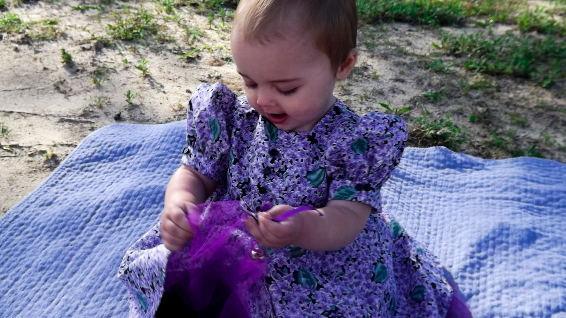 The Purple Rose