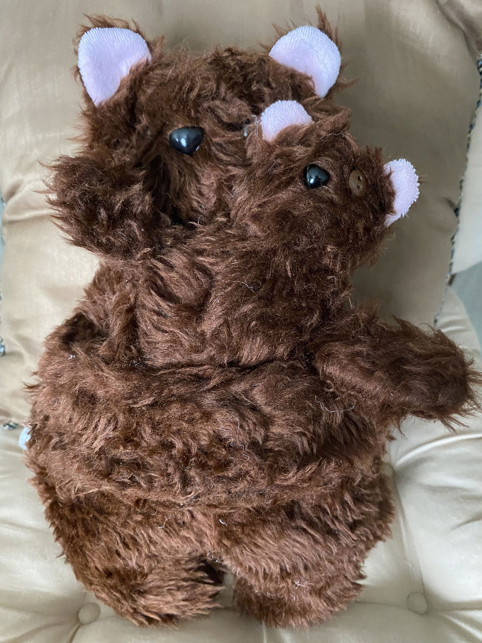 Brown Mama Bear and Baby