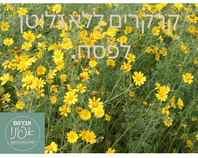 השקת קרקרים ללא גלוטן לפסח