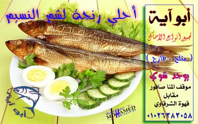 قصتنا image