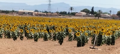 Este foro se ha convertido en una comunidad donde puedes encontrar apoyo, inspiración y amistad. 