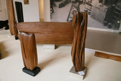 Expo Willy Anthoons image