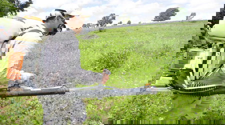 MANEJO INTEGRAL DE PLAGAS