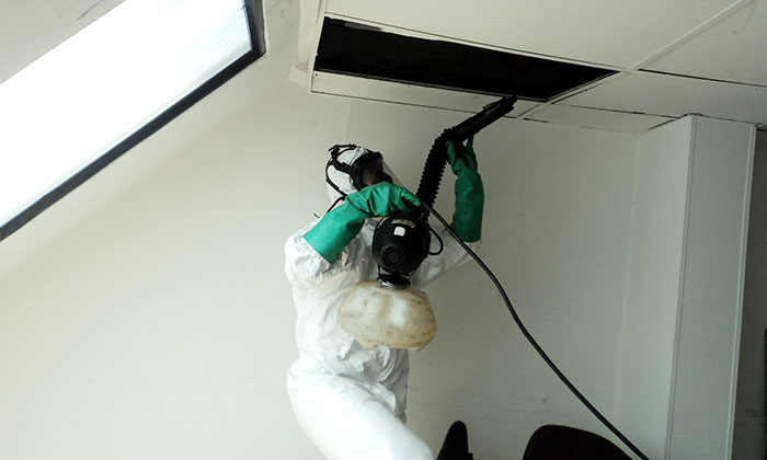 INMUNIZACIÓN Y DESIFENCCIÓN