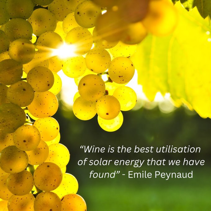 Oxford Wine Festival