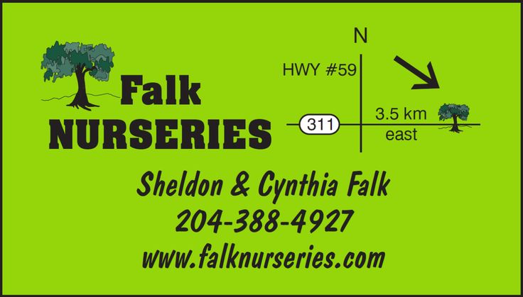 Falk Nurseries