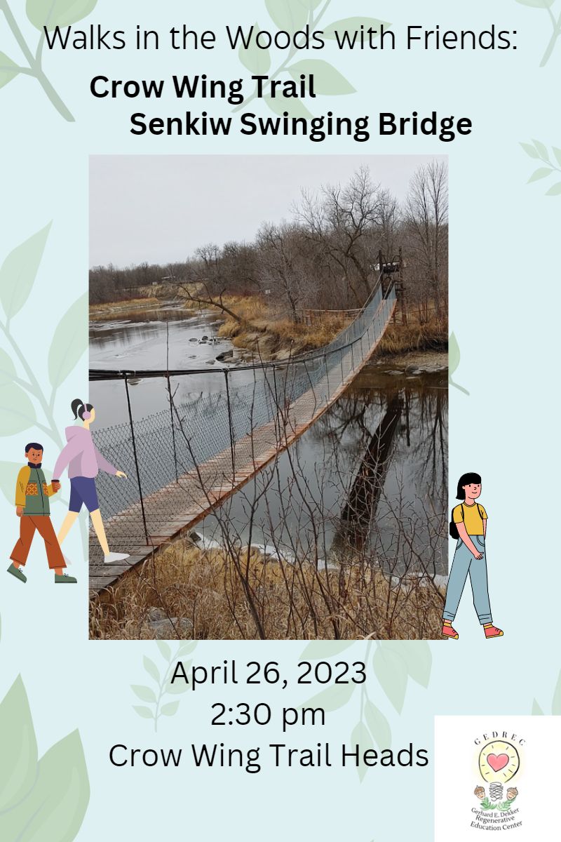 Walks in the Woods: Senkiw Swinging Bridge!