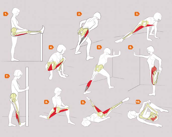 10 Alongamentos imprescindíveis