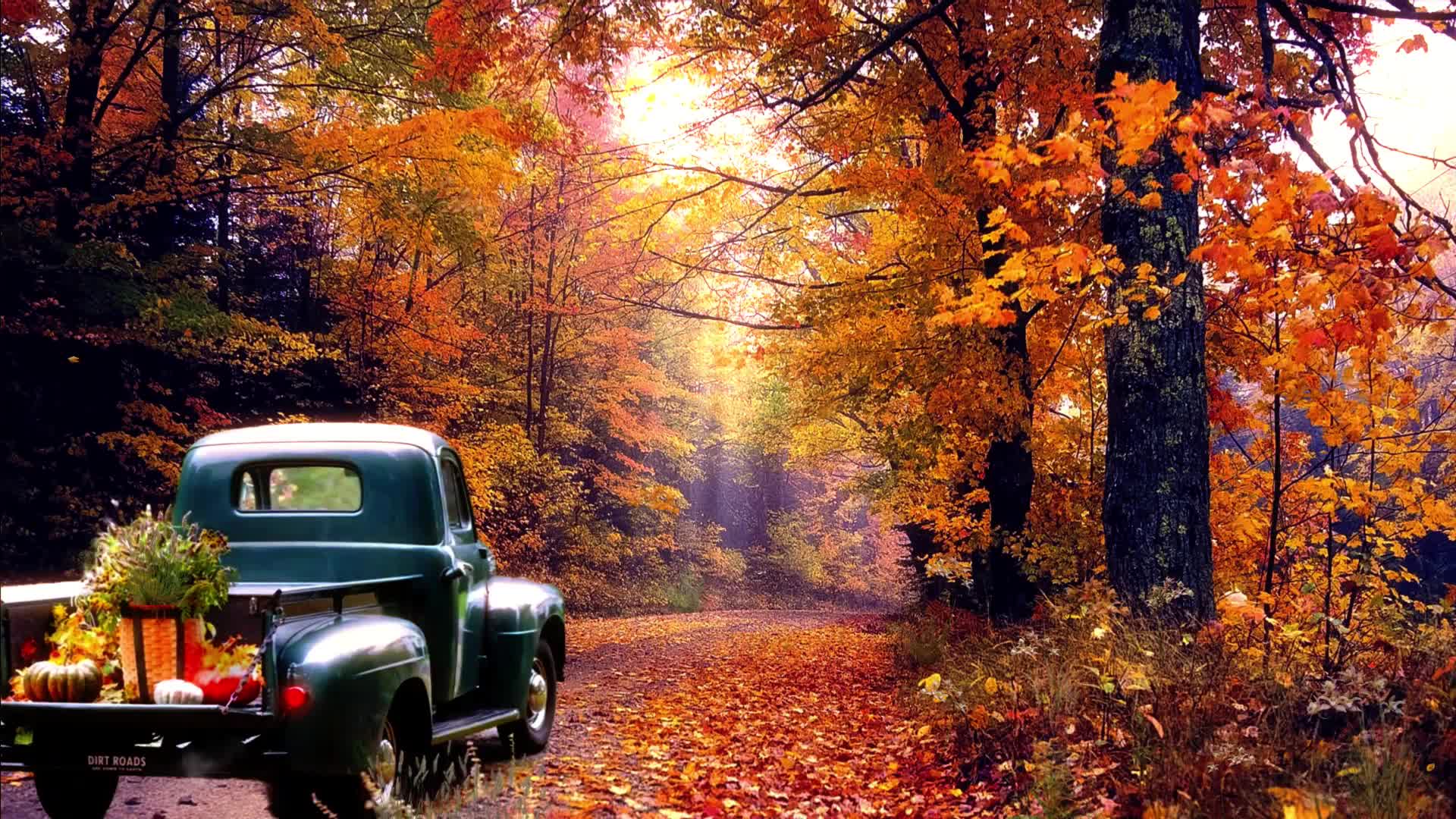 Our facebook livestream and podcast video thumbnail