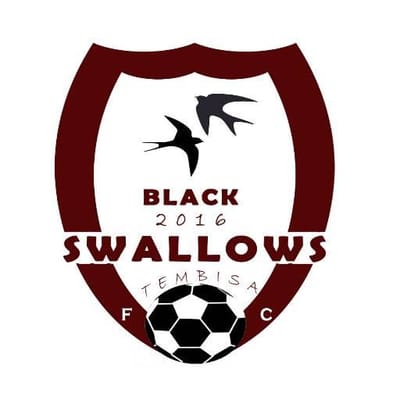 Tembisa  Black swallows fc website