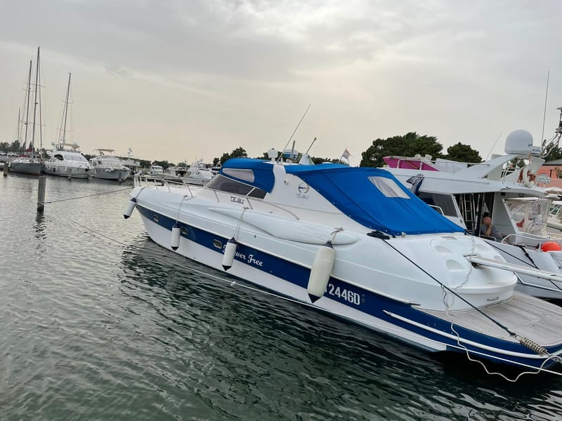 Vendita/Affitto barche