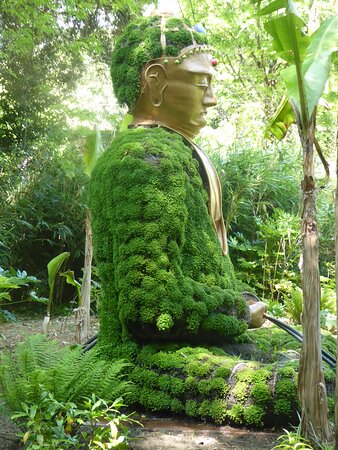 un peu plus... image