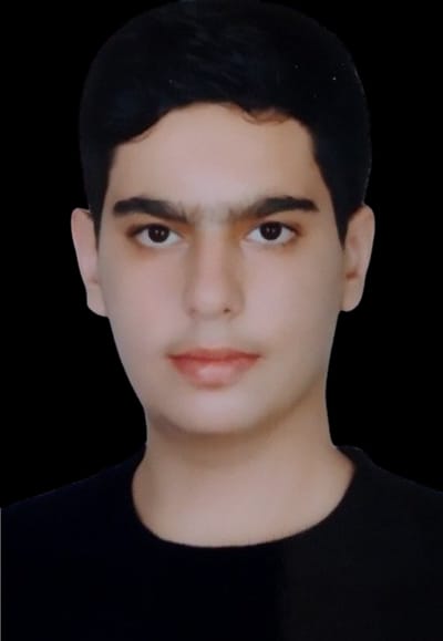 محمد مهدی امینی
