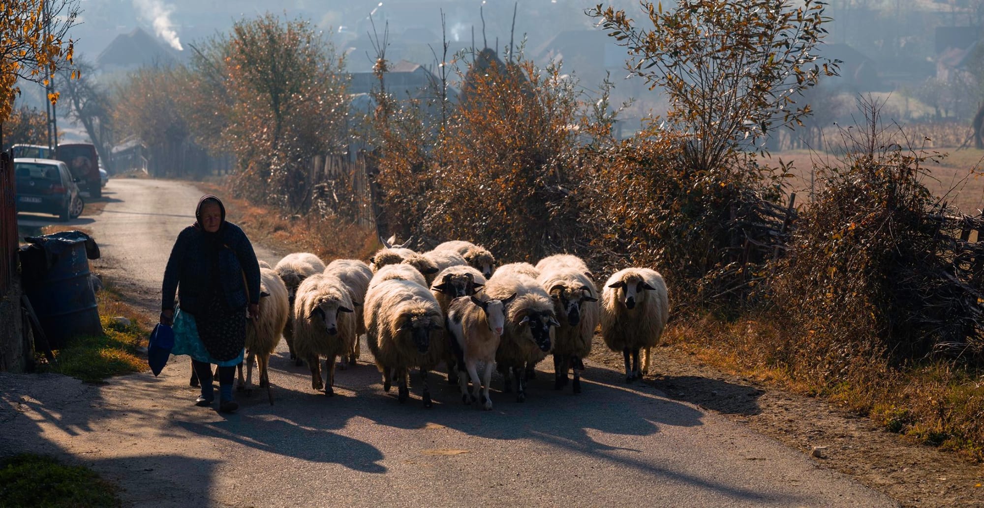 Turismul în România