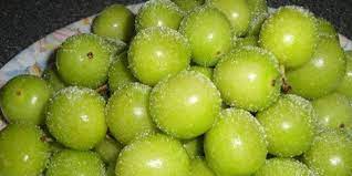 BAKHSHIAN SPRING FRUIT میوه بهار بخشیان