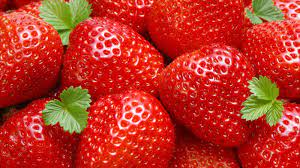 BAKHSHIAN SPRING FRUIT میوه بهار بخشیان