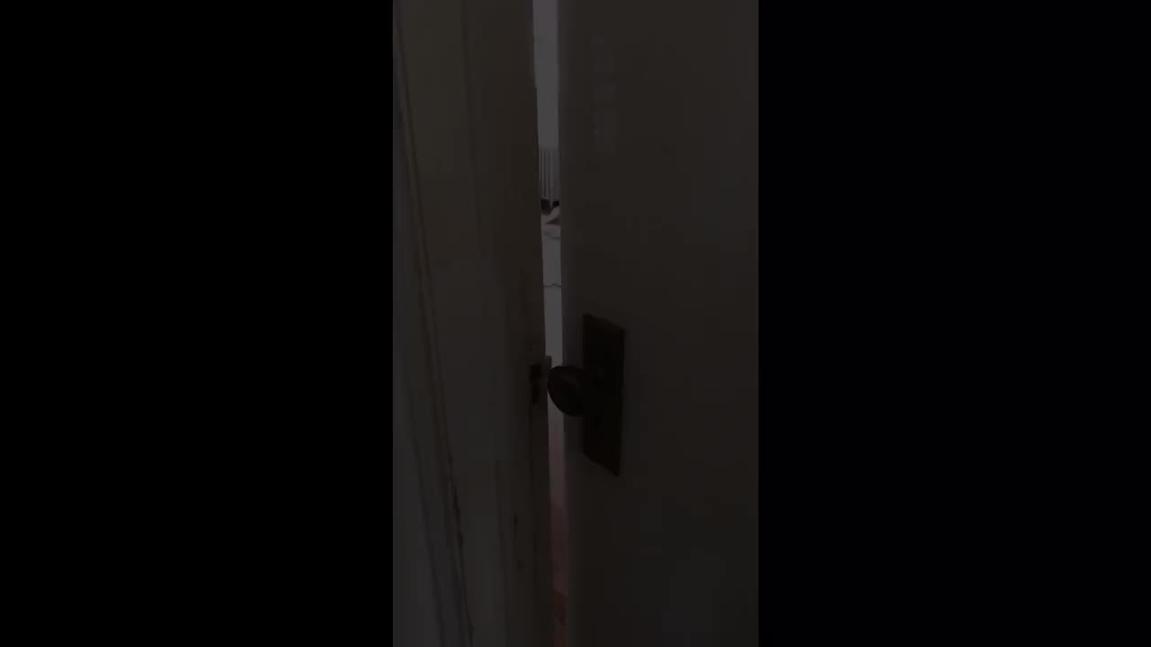 Immersive Poetry Collage