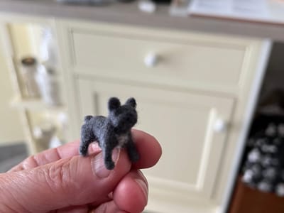 Wed 16th August - French Bulldog