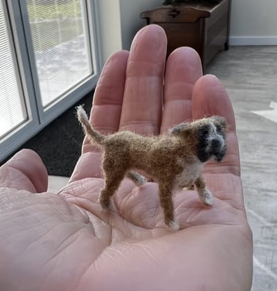 Wed 30th August - Boxer