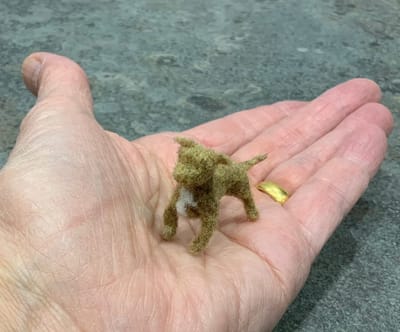 Wed 27th September - Staffordshire Bull Terrier (Staffy)