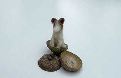 Wed 18th October - Meet up!