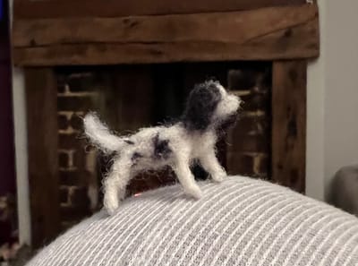 Wed 25th October - Spaniel