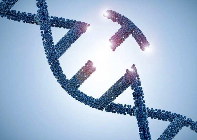 CRISPR Foundations: A CRISPR Classroom Reflection