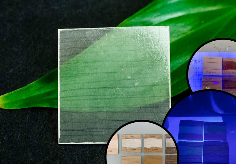 Initiating a Funding Campaign for the Sustainable Development of Transparent Wood