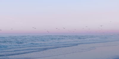 About image