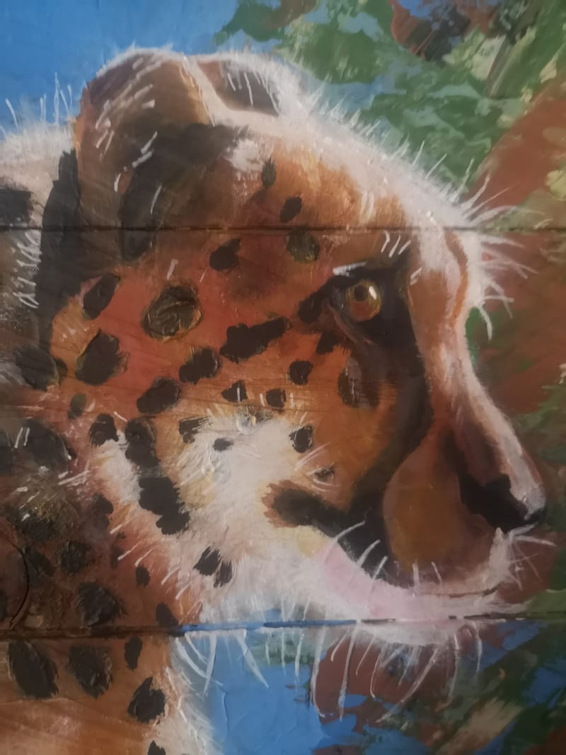 Stages à thème ,cours individuel et collectif adaptés à l'âge et au niveau de chacun