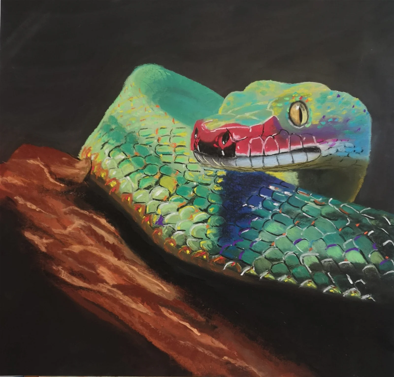 Exposition animalière à Pontorson