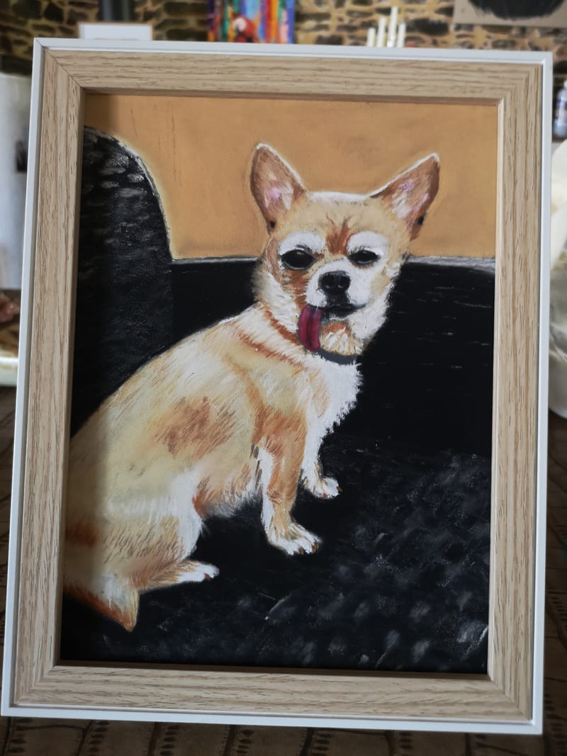 Portraits animaliers aux pastels secs