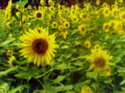 Not Everyone Can Write to Stay Well