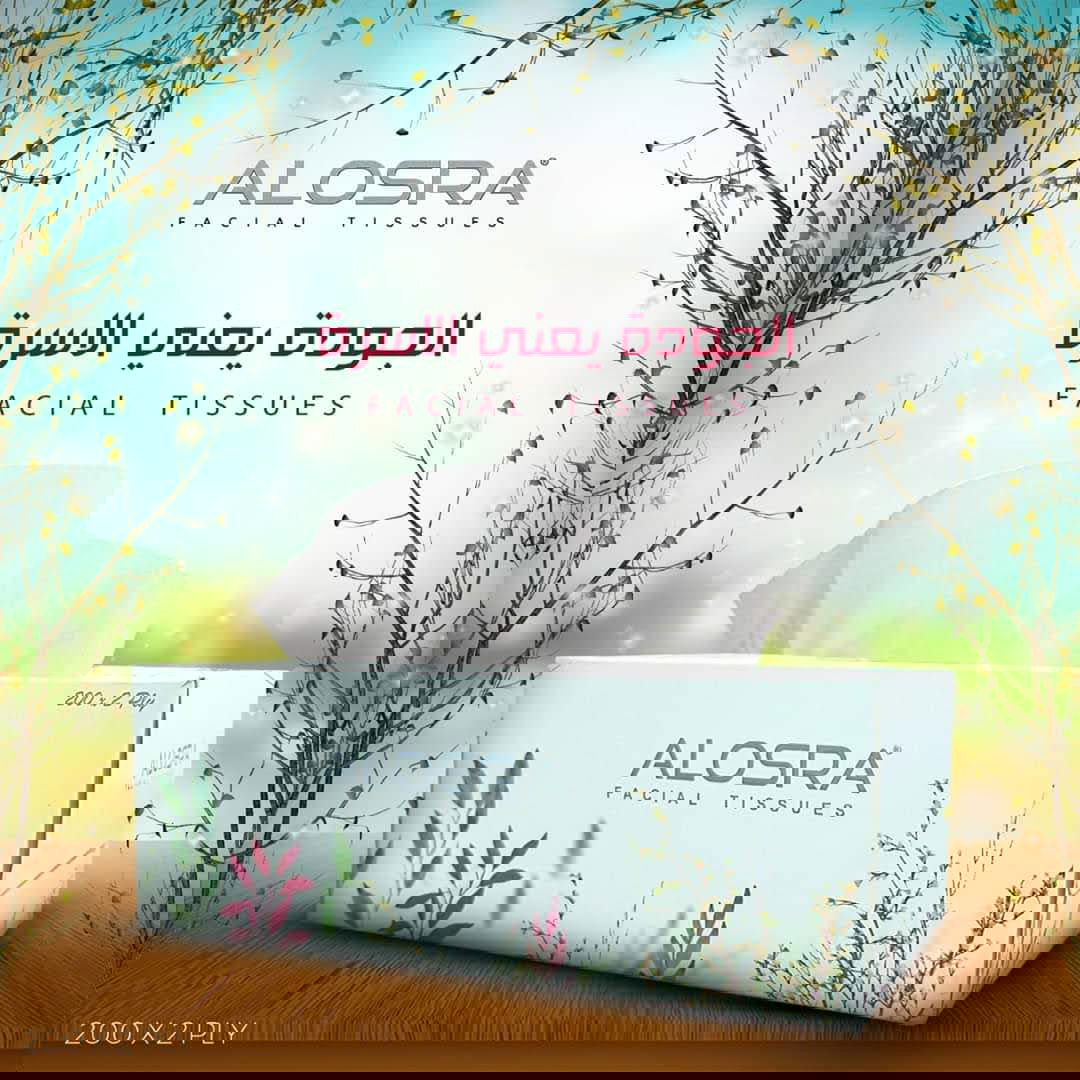 تصميمات الإعلانات 