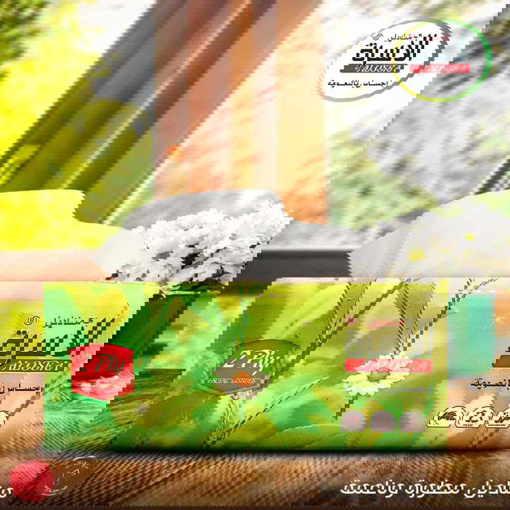 تصميمات الإعلانات 