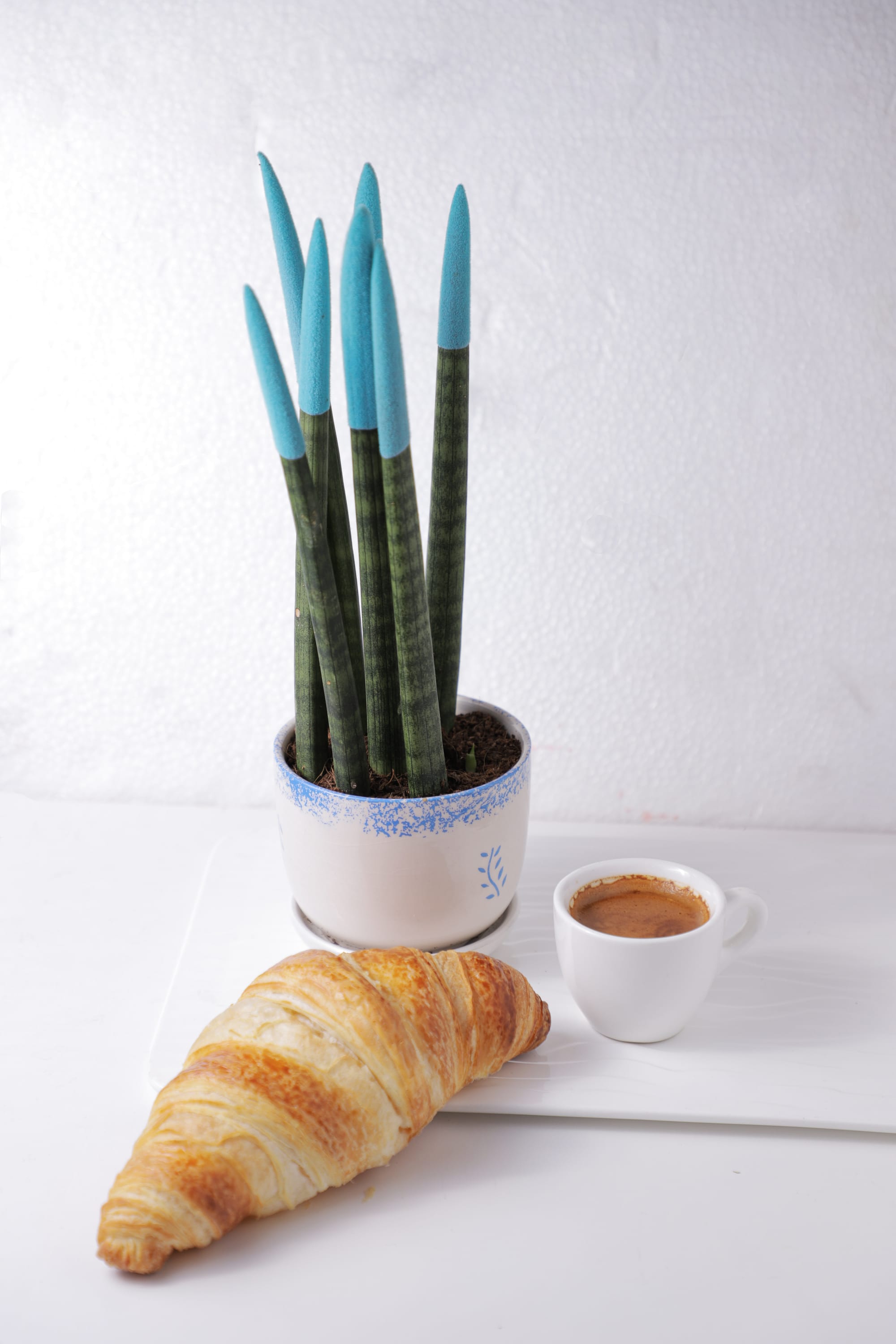 طعام & كافيه