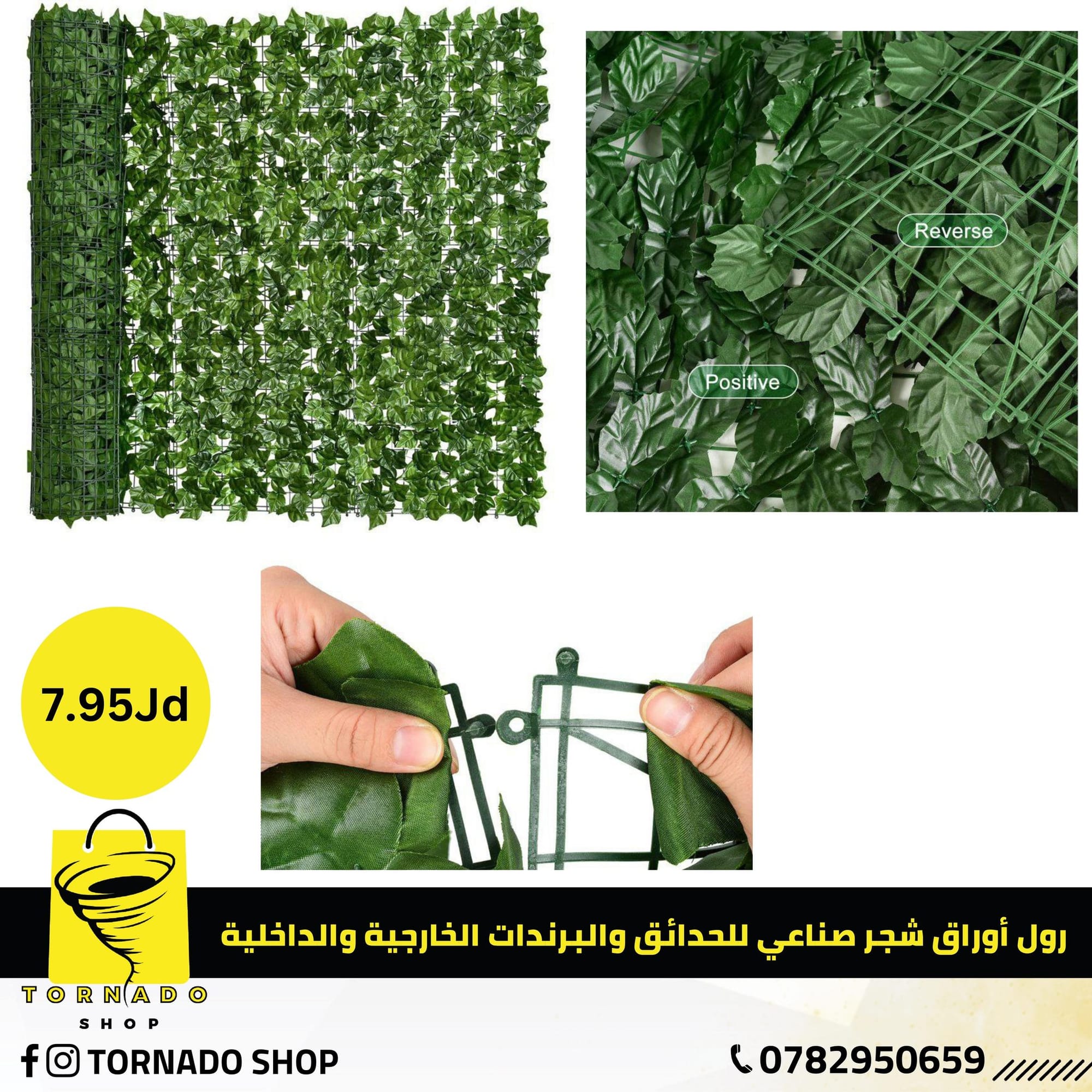 متاجر و محلات