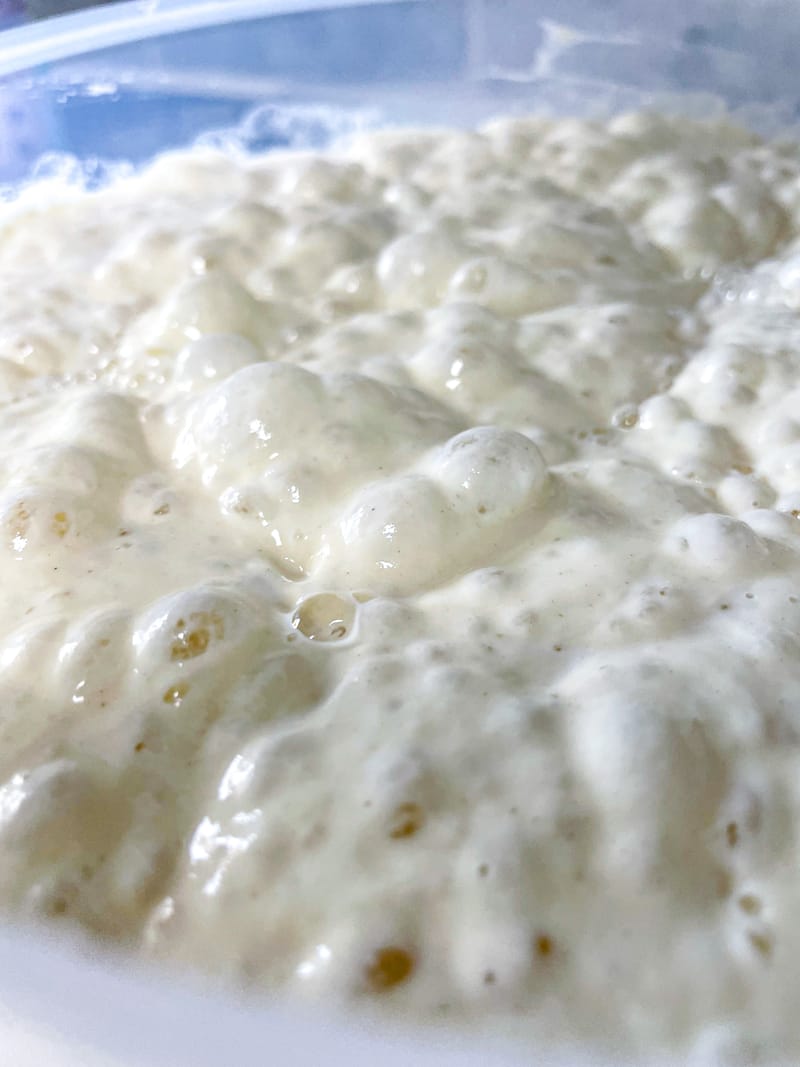 חגיגת פיצות מהטאבון